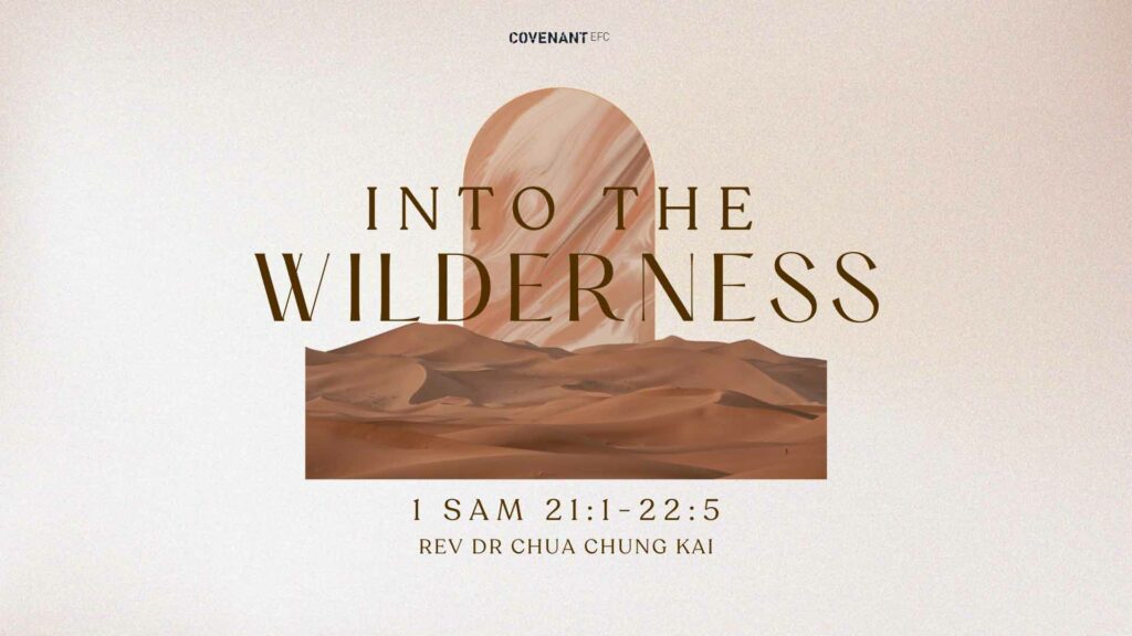 Into the Wilderness