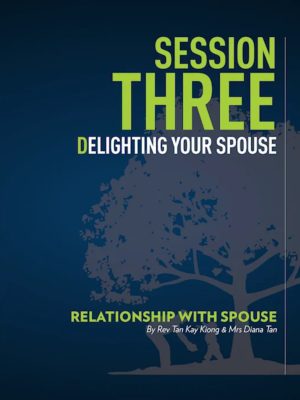 Parenting From Inside Out - Session 3
