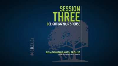 Parenting From Inside Out - Session 3